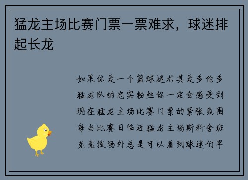 猛龙主场比赛门票一票难求，球迷排起长龙